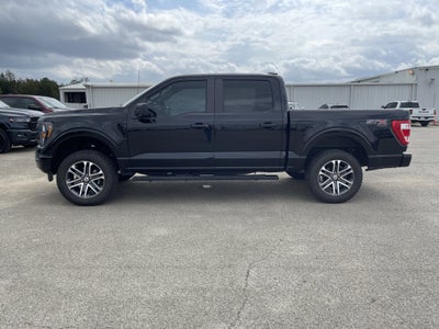 2023 Ford F-150 XL